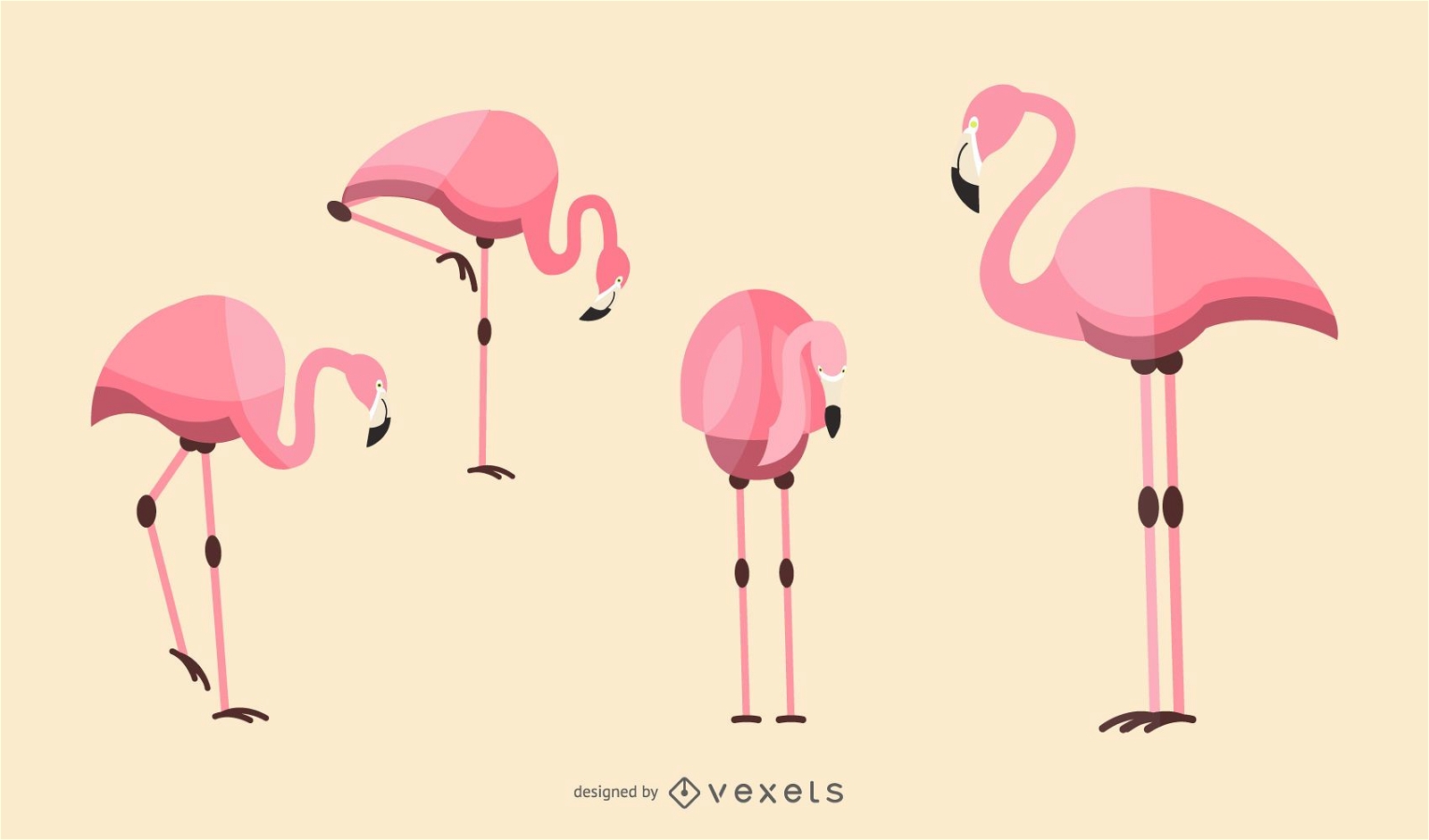 Flacher Flamingo-Illustrationssatz