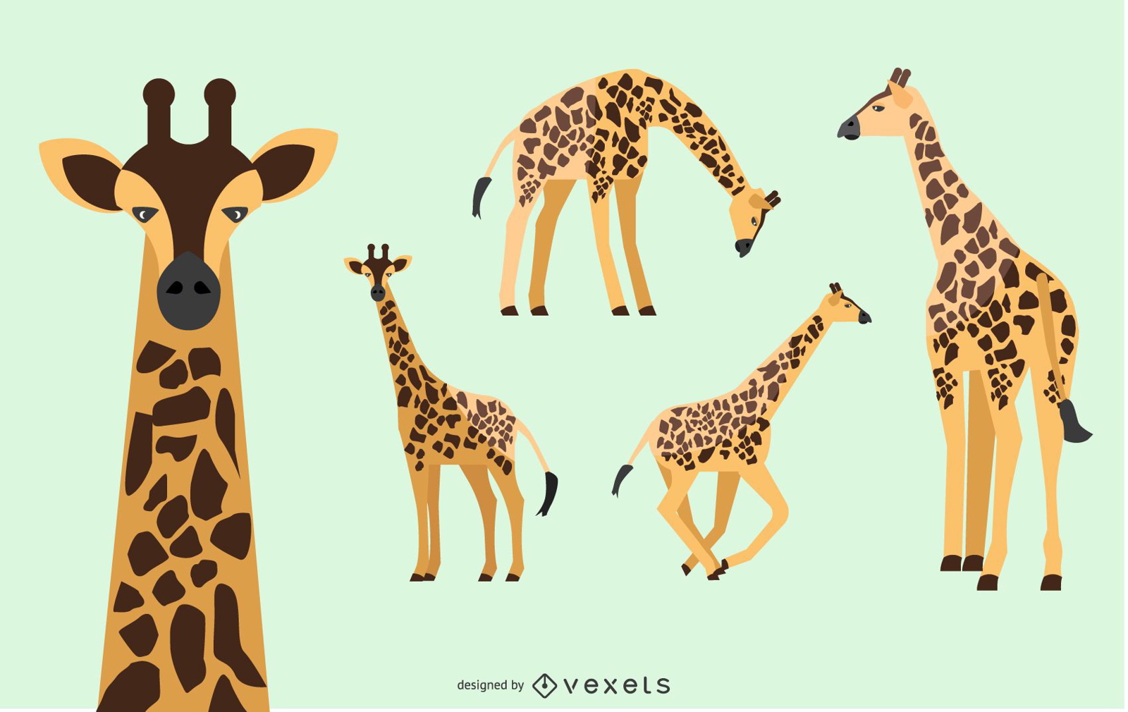 Giraffe Illustration Set Vector Download