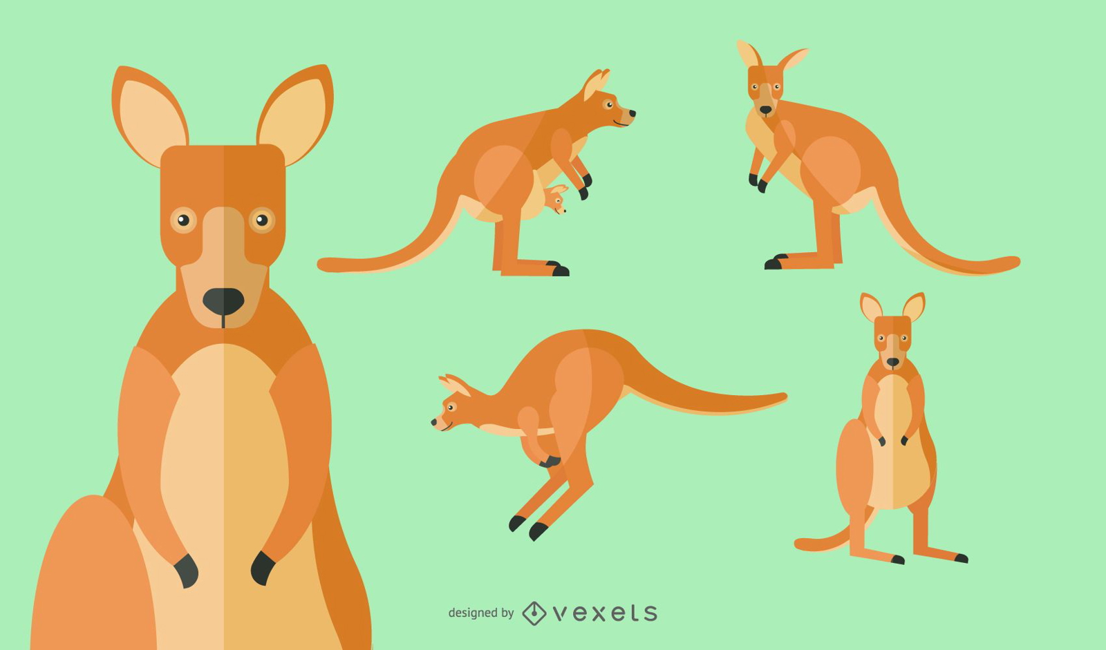 Conjunto de ilustración de canguro plano