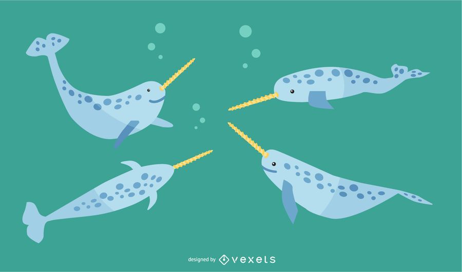 Flat Narwhal Illustration Set Flat Narwhal Illustration Set