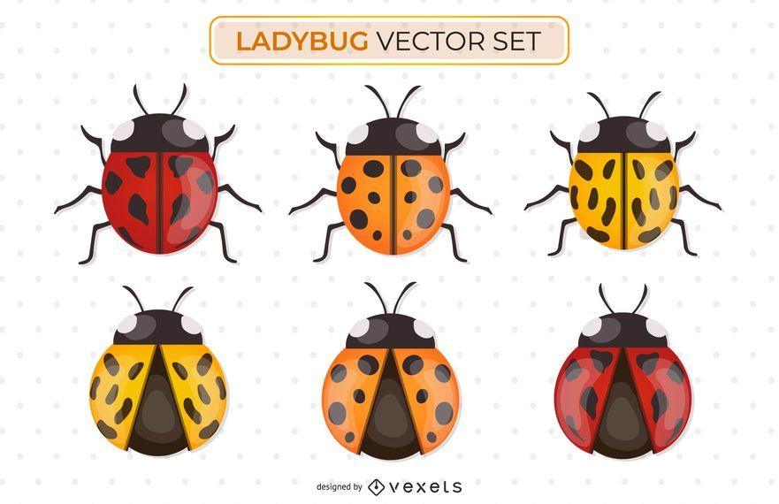 Ladybug vector set Ladybug vector set