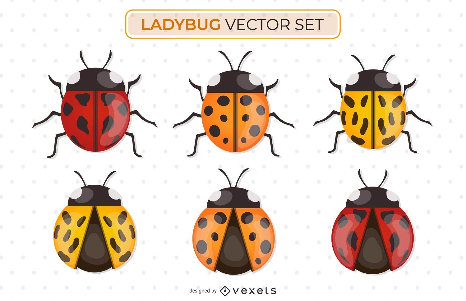 Ladybug vector set
