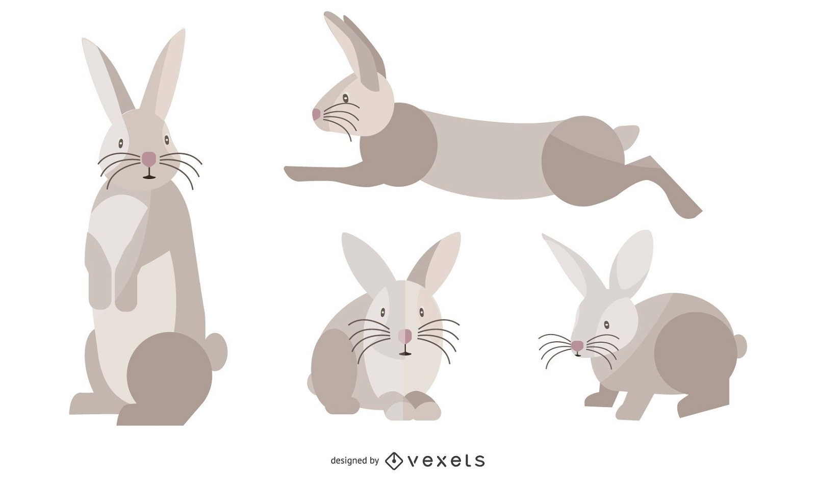 Flat Rabbit Illustration Set
