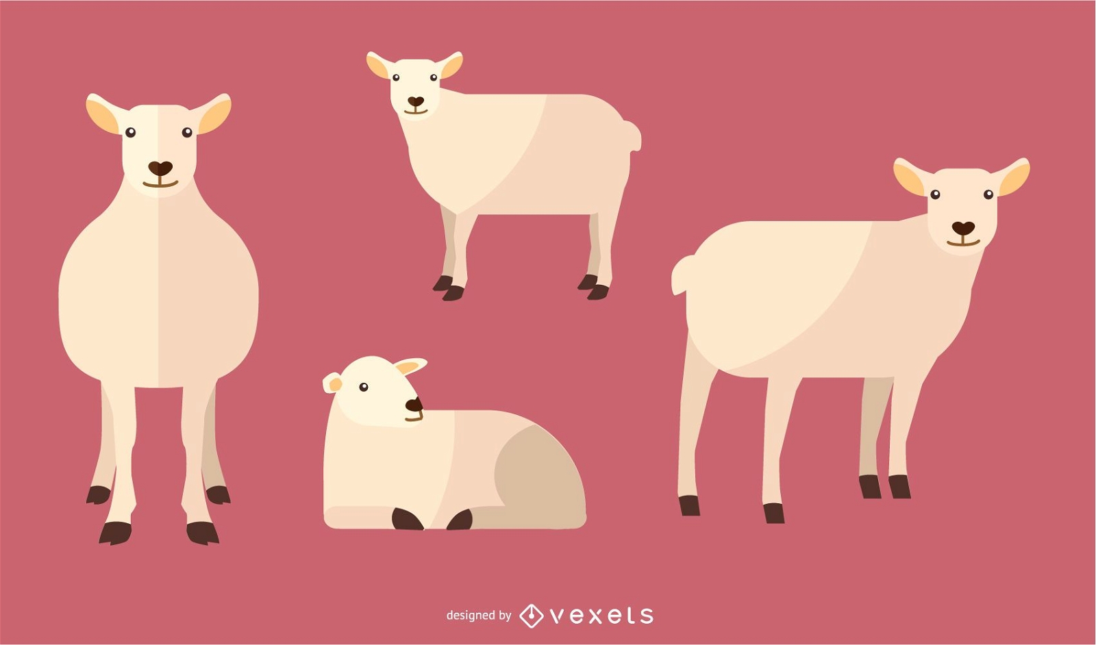 Conjunto de ilustra??o de ovelhas planas