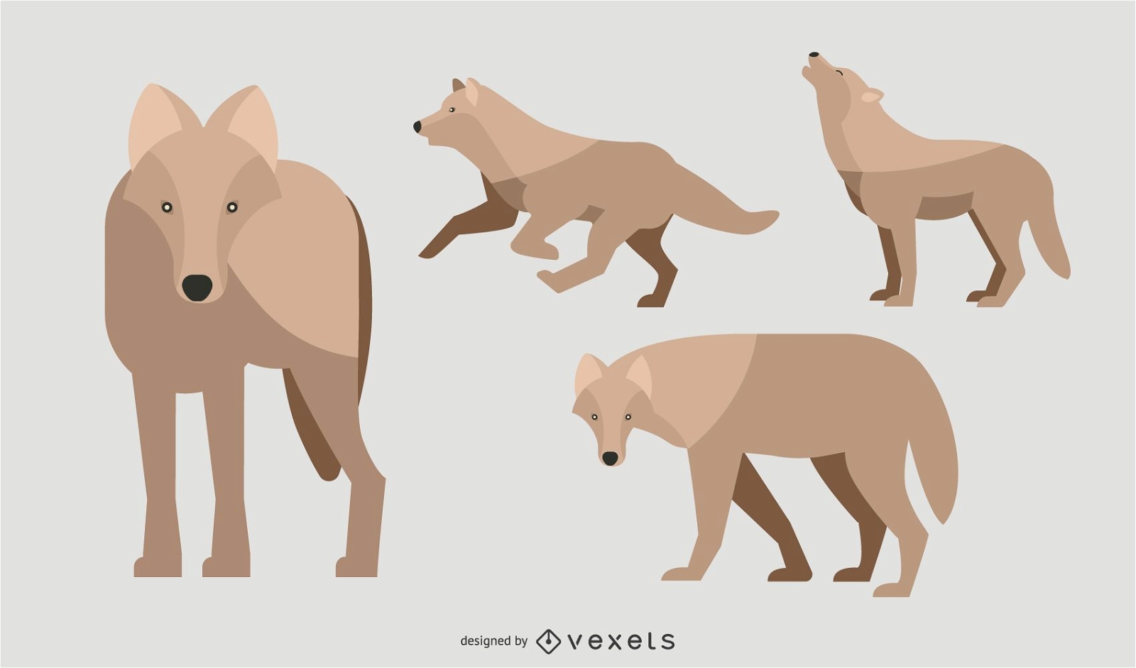 Conjunto de ilustración de lobo plano
