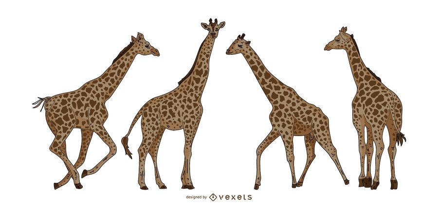 Giraffe Colored Illustration Set Giraffe Colored Illustration Set