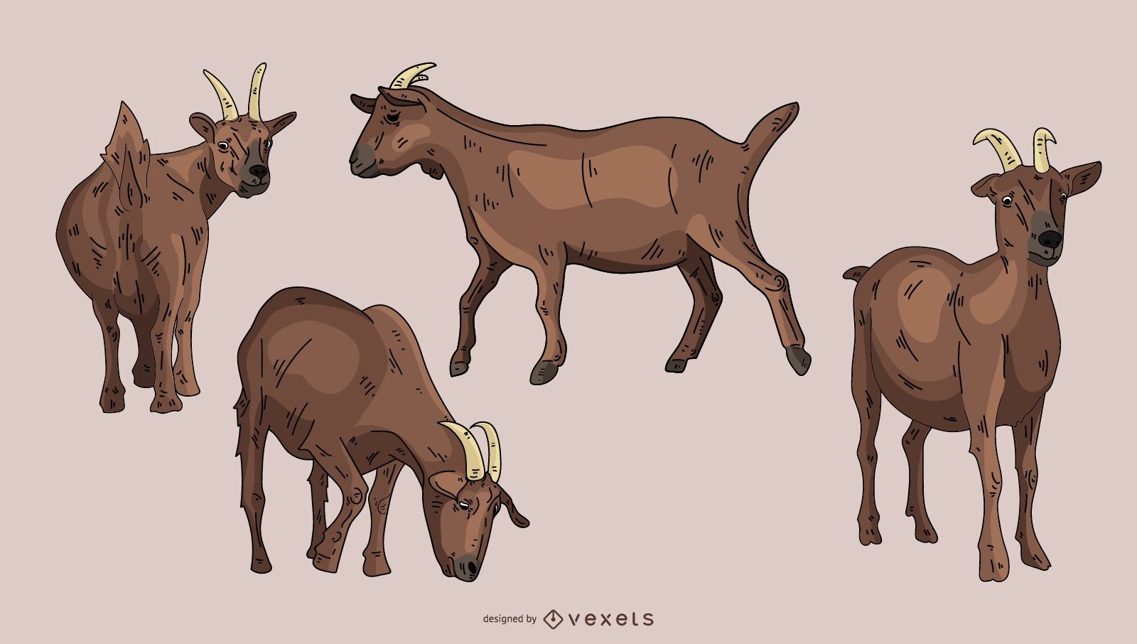 Brown Goat Illustration Set