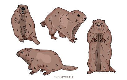 Conjunto de ilustrações coloridas da marmota