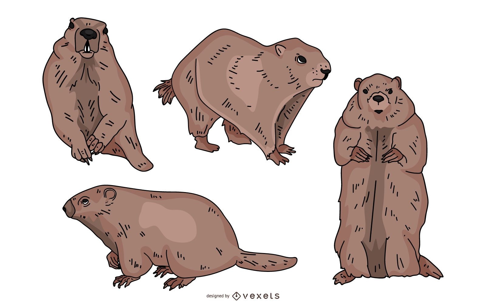 Groundhog Colored Illustration Set