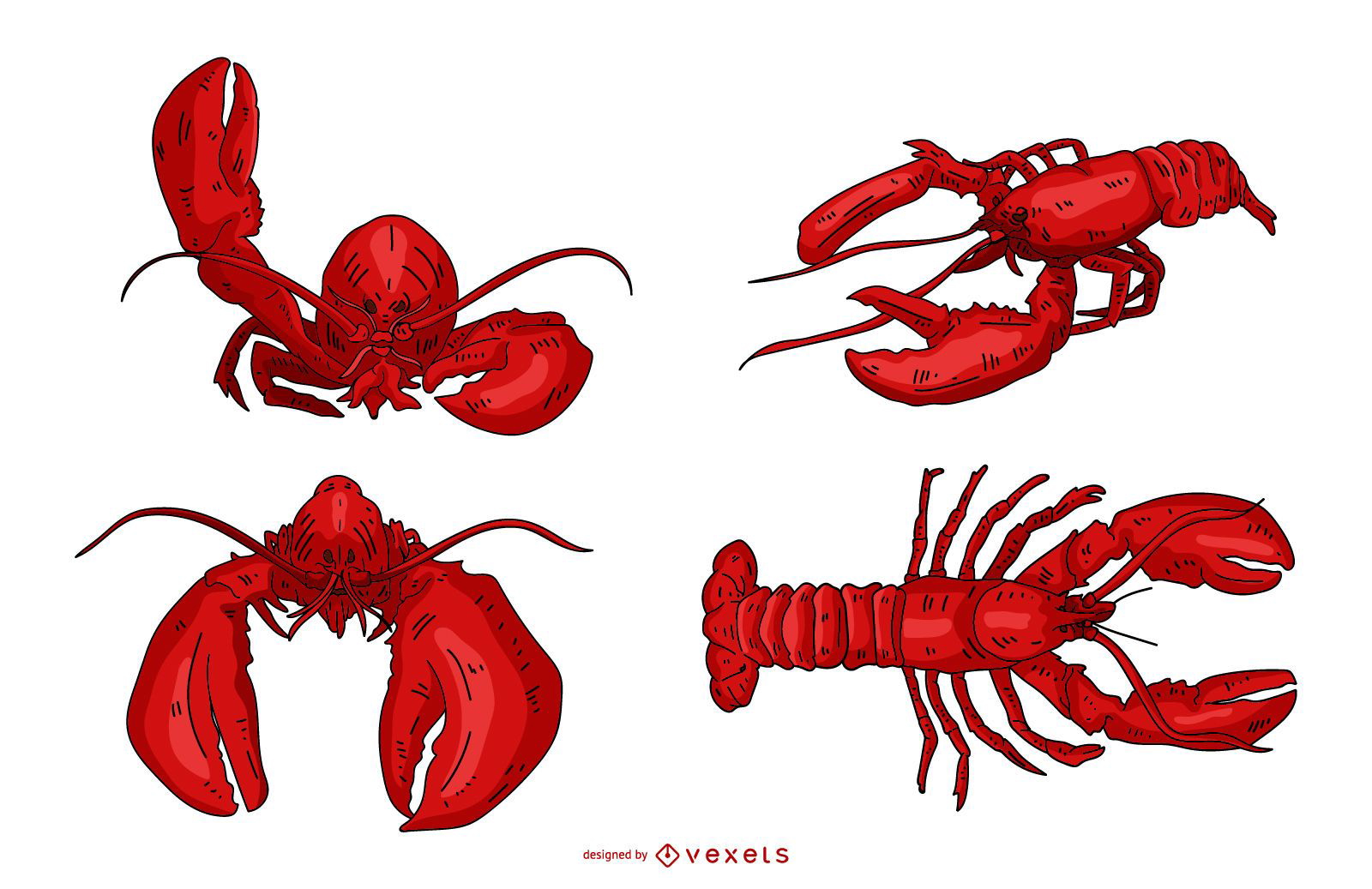 Conjunto de ilustração de lagosta