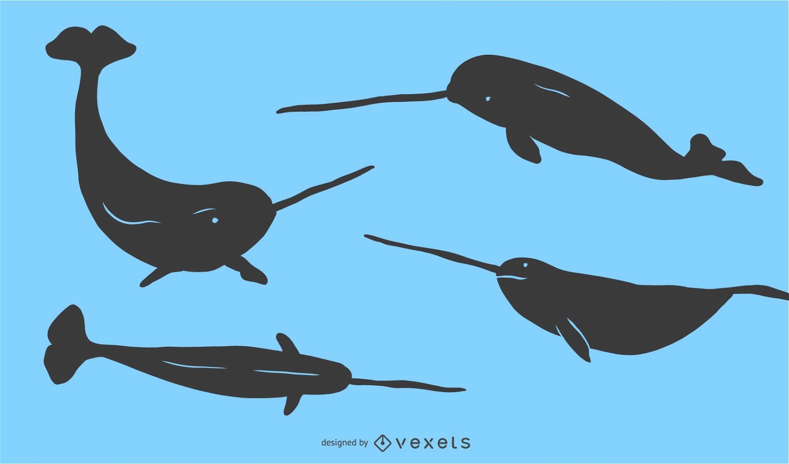 Narwhal Silhouette Set