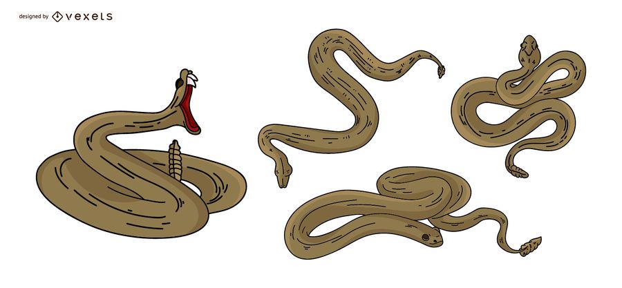 Conjunto de ilustração colorida de cobra Conjunto de ilustração colorida de cobra