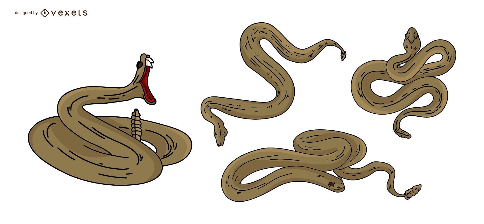 Conjunto de ilustración de colores de serpiente