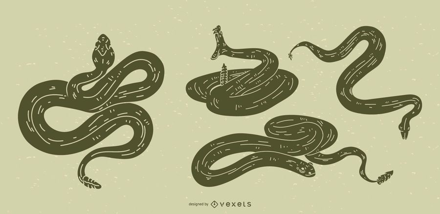 Snake Detailed Silhouette Design Snake Detailed Silhouette Design
