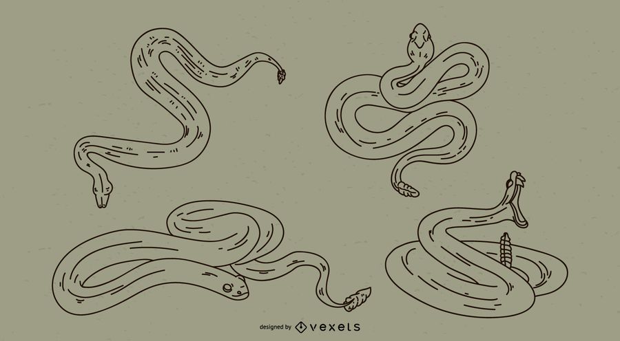 Snake Stroke Set Snake Stroke Set
