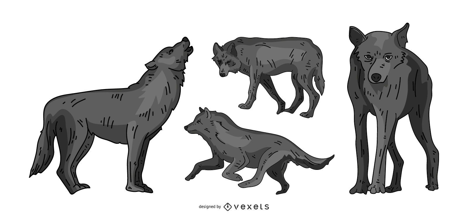 Conjunto de ilustração de lobo cinzento