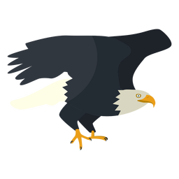 Flache Illustration des Weißkopfseeadlers PNG-Design