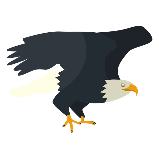 Flache Illustration des Weißkopfseeadlers PNG-Design