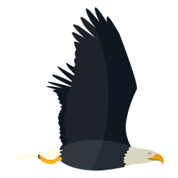 Weißkopfseeadler fliegt flach PNG-Design
