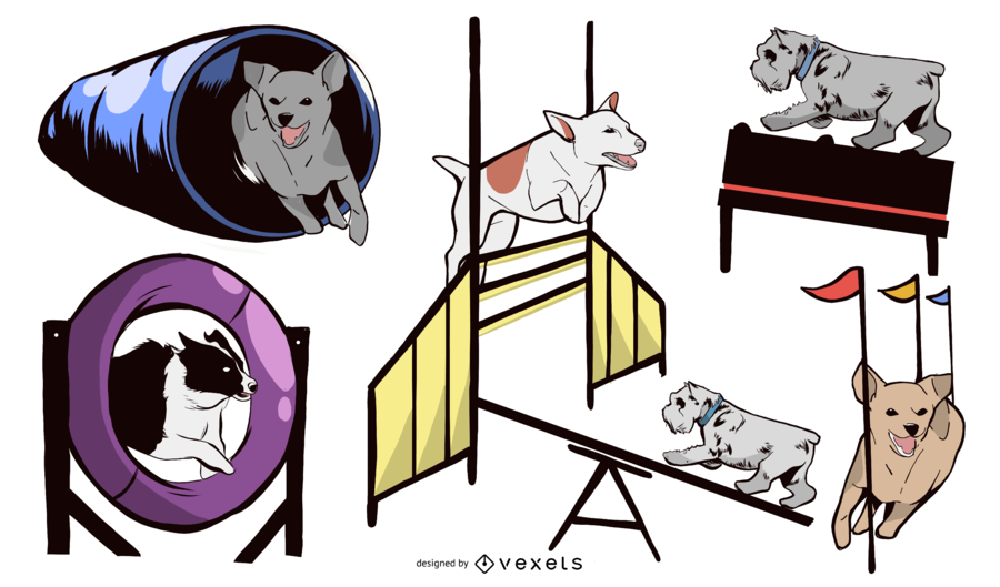 Dog Agility Ausrüstung Design Set Dog Agility Ausrüstung Design Set