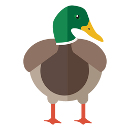 Duck Front View Flat PNG & SVG Design For T-Shirts