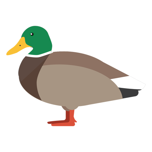 Duck side view flat PNG Design
