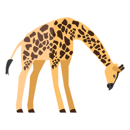 Giraffe die flach schaut PNG-Design