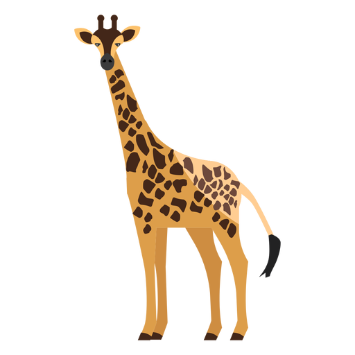 Girafa vista lateral plana Desenho PNG