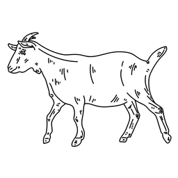 Línea para caminar de cabras Diseño PNG