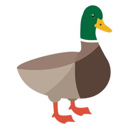 Cabeça de pato verde achatada Desenho PNG