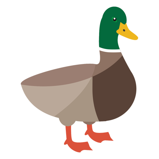 Green head duck flat PNG Design