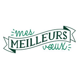 Mes meilleurs voeux-Schriftzug PNG-Design