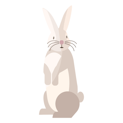 Conejo de pie plano Diseño PNG