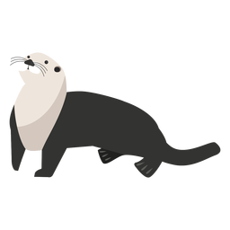 Lontra do mar olhando para cima plana Desenho PNG