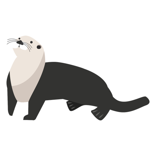 Sea otter looking up flat PNG Design