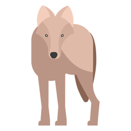 Wolf Vorderansicht flach PNG-Design