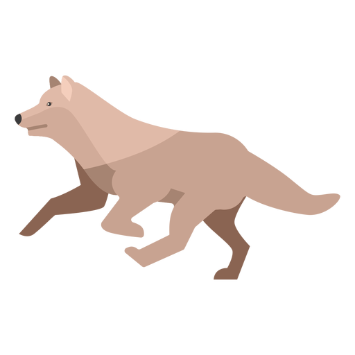Lobo corriendo plano Diseño PNG