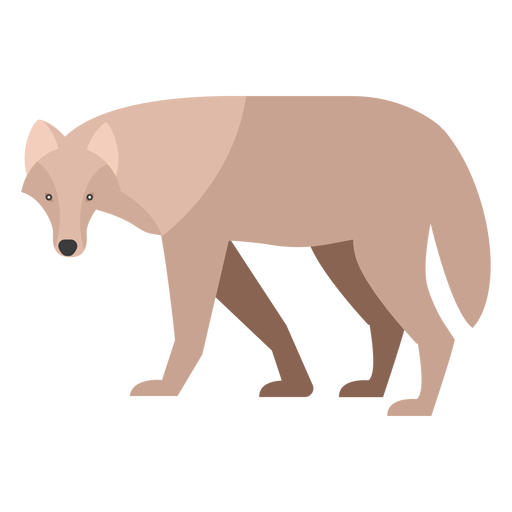 Wolf side view flat PNG Design