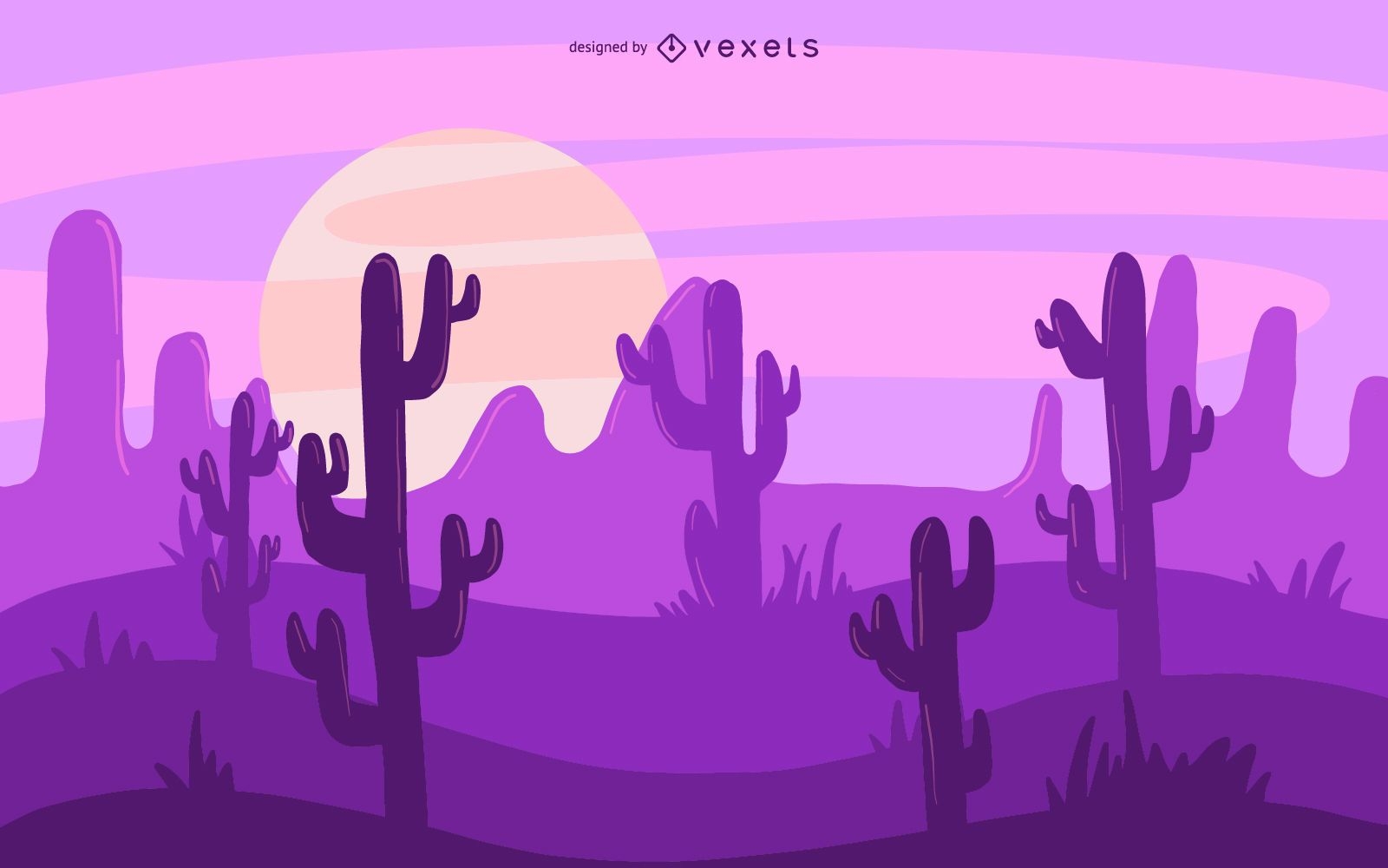 Desert Cacti Illustration