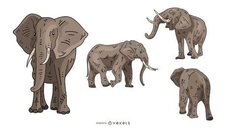 Conjunto de ilustración de elefante
