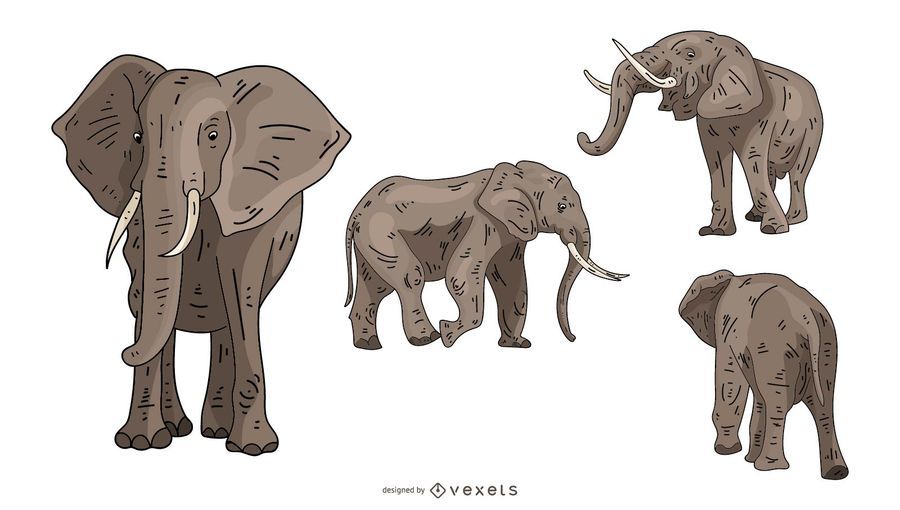 Elephant Illustration Set Elephant Illustration Set
