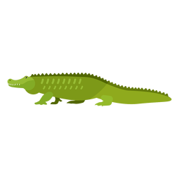 Alligator crocodile tail fang flat