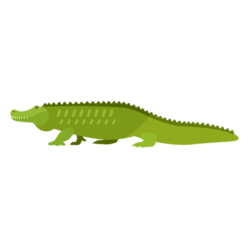 Alligator Krokodil Schwanz Fang flach PNG-Design