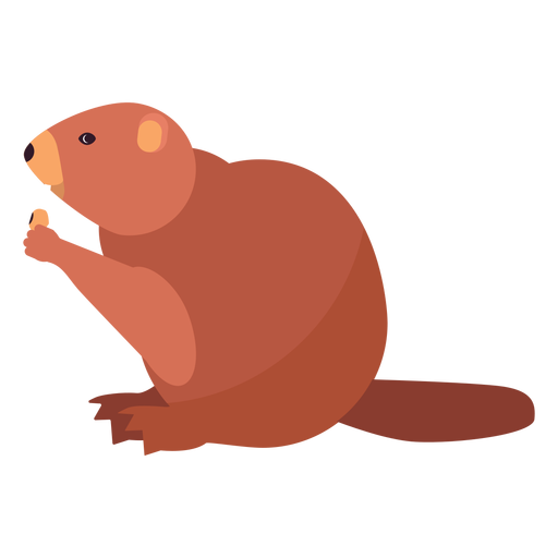 Beaver fat tail rodent flat PNG Design