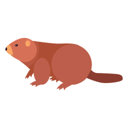 Beaver tail fat rodent flat PNG Design