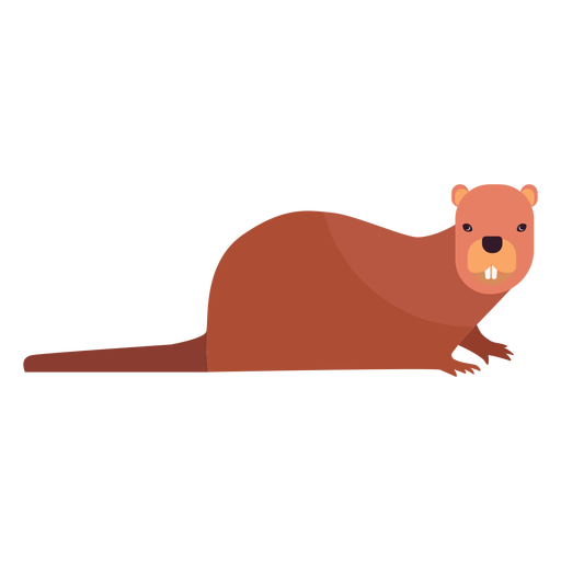 Beaver tooth fat tail rodent flat PNG Design