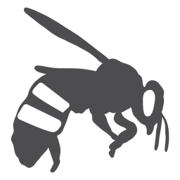 Abeja raya ala avispa silueta Diseño PNG