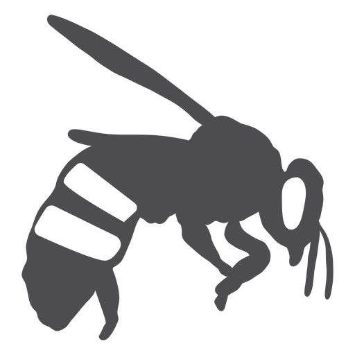 Download Bee stripe wing wasp silhouette - Transparent PNG & SVG ...