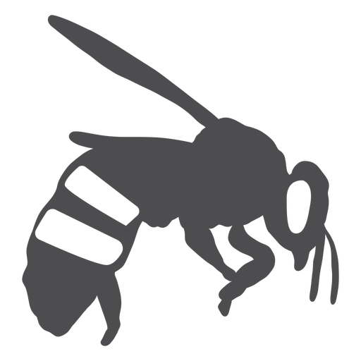 Bienenstreifenflügelwespensilhouette PNG-Design