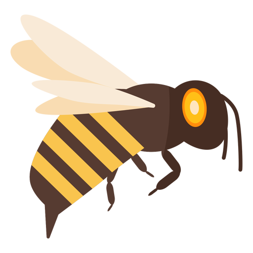 Picada de asa de abelha listrada de vespa plana